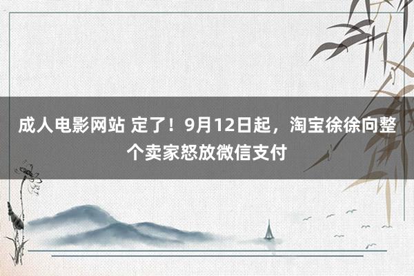 成人电影网站 定了！9月12日起，淘宝徐徐向整个卖家怒放微信支付