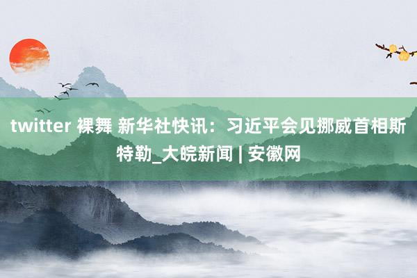 twitter 裸舞 新华社快讯：习近平会见挪威首相斯特勒_大皖新闻 | 安徽网