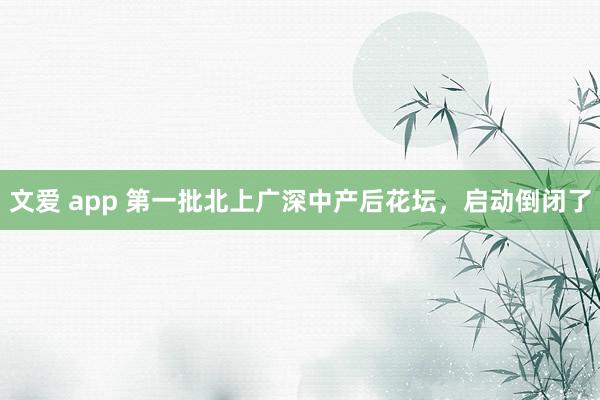 文爱 app 第一批北上广深中产后花坛，启动倒闭了