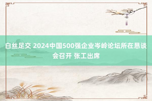 白丝足交 2024中国500强企业岑岭论坛所在恳谈会召开 张工出席