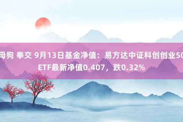 母狗 拳交 9月13日基金净值：易方达中证科创创业50ETF最新净值0.407，跌0.32%