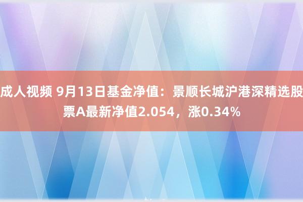 成人视频 9月13日基金净值：景顺长城沪港深精选股票A最新净值2.054，涨0.34%