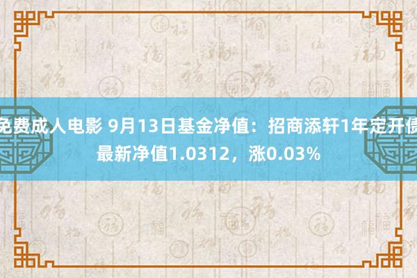 免费成人电影 9月13日基金净值：招商添轩1年定开债最新净值1.0312，涨0.03%