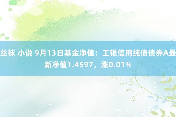 丝袜 小说 9月13日基金净值：工银信用纯债债券A最新净值1.4597，涨0.01%