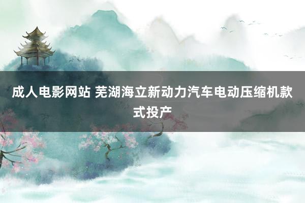 成人电影网站 芜湖海立新动力汽车电动压缩机款式投产