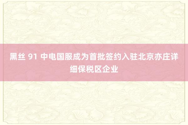 黑丝 91 中电国服成为首批签约入驻北京亦庄详细保税区企业