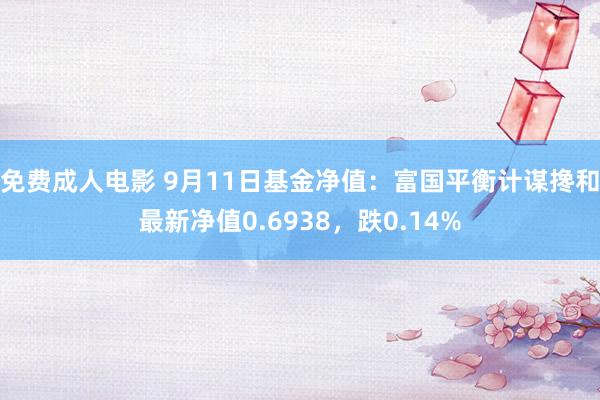 免费成人电影 9月11日基金净值：富国平衡计谋搀和最新净值0.6938，跌0.14%