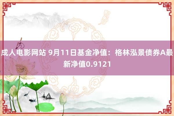 成人电影网站 9月11日基金净值：格林泓景债券A最新净值0.9121