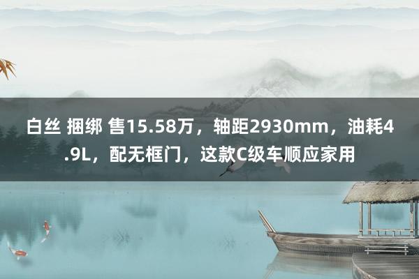 白丝 捆绑 售15.58万，轴距2930mm，油耗4.9L，配无框门，这款C级车顺应家用