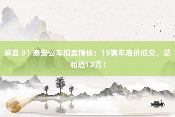 麻豆 91 泰安公车拍卖愉快：19辆车高价成交，总和近12万！