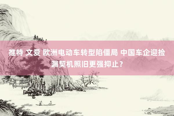 推特 文爱 欧洲电动车转型陷僵局 中国车企迎捡漏契机照旧更强抑止？