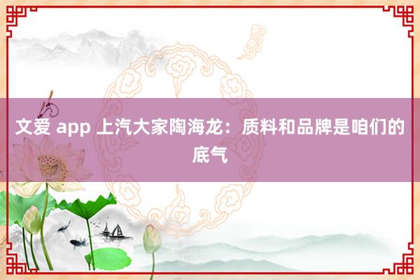 文爱 app 上汽大家陶海龙：质料和品牌是咱们的底气