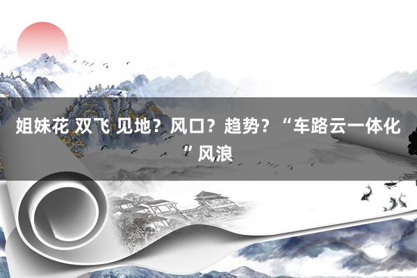 姐妹花 双飞 见地？风口？趋势？“车路云一体化”风浪