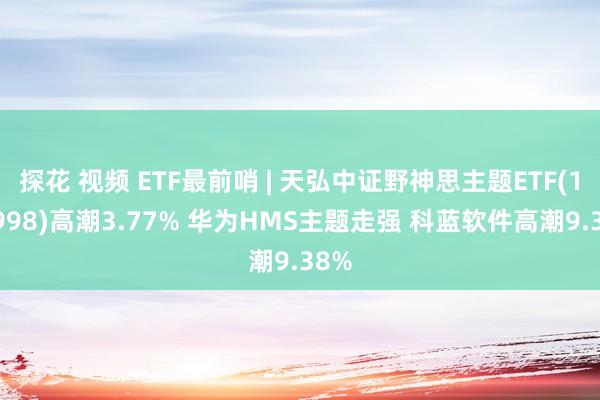 探花 视频 ETF最前哨 | 天弘中证野神思主题ETF(159998)高潮3.77% 华为HMS主题走强 科蓝软件高潮9.38%