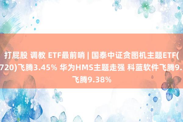 打屁股 调教 ETF最前哨 | 国泰中证贪图机主题ETF(512720)飞腾3.45% 华为HMS主题走强 科蓝软件飞腾9.38%