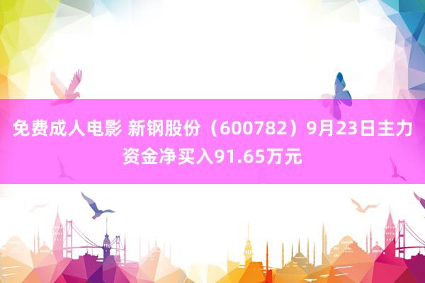 免费成人电影 新钢股份（600782）9月23日主力资金净买入91.65万元