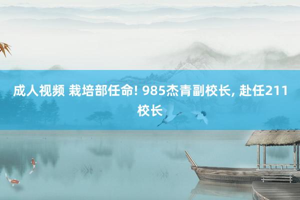 成人视频 栽培部任命! 985杰青副校长， 赴任211校长