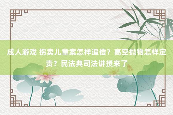 成人游戏 拐卖儿童案怎样追偿？高空抛物怎样定责？民法典司法讲授来了