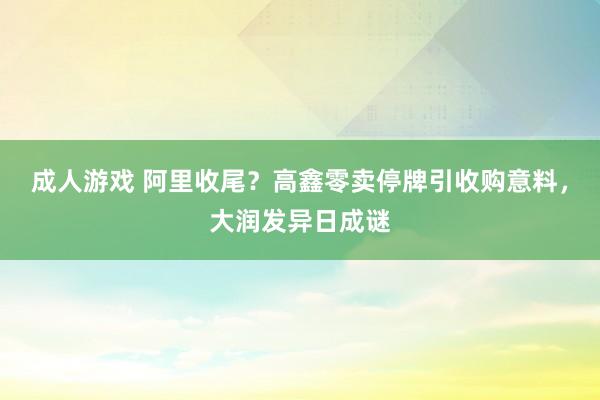 成人游戏 阿里收尾？高鑫零卖停牌引收购意料，大润发异日成谜