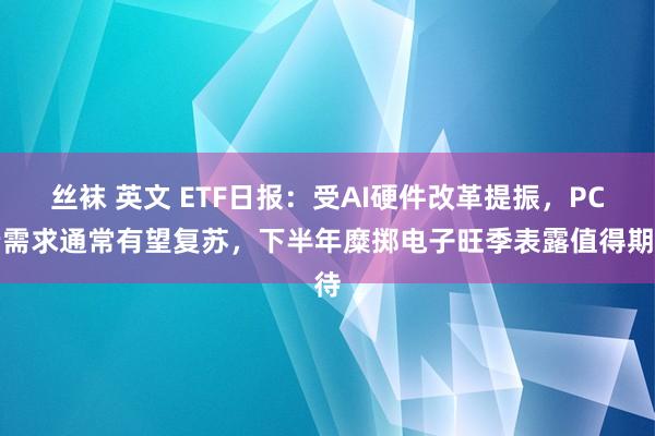 丝袜 英文 ETF日报：受AI硬件改革提振，PC端需求通常有望复苏，下半年糜掷电子旺季表露值得期待