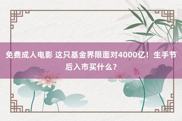 免费成人电影 这只基金界限面对4000亿！生手节后入市买什么？