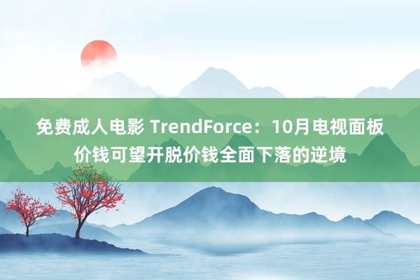 免费成人电影 TrendForce：10月电视面板价钱可望开脱价钱全面下落的逆境