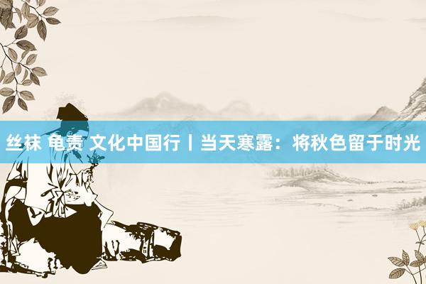 丝袜 龟责 文化中国行丨当天寒露：将秋色留于时光