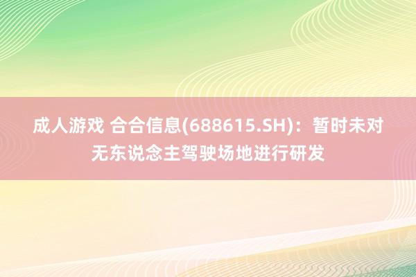 成人游戏 合合信息(688615.SH)：暂时未对无东说念主驾驶场地进行研发