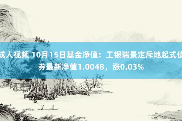 成人视频 10月15日基金净值：工银瑞景定斥地起式债券最新净值1.0048，涨0.03%