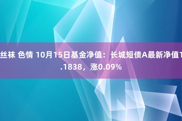 丝袜 色情 10月15日基金净值：长城短债A最新净值1.1838，涨0.09%