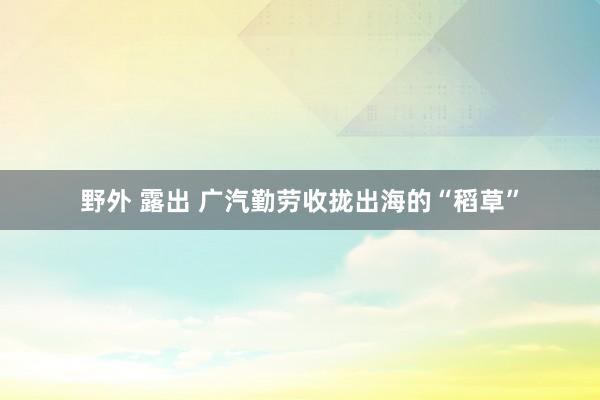 野外 露出 广汽勤劳收拢出海的“稻草”