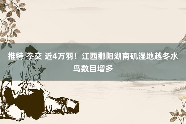 推特 拳交 近4万羽！江西鄱阳湖南矶湿地越冬水鸟数目增多