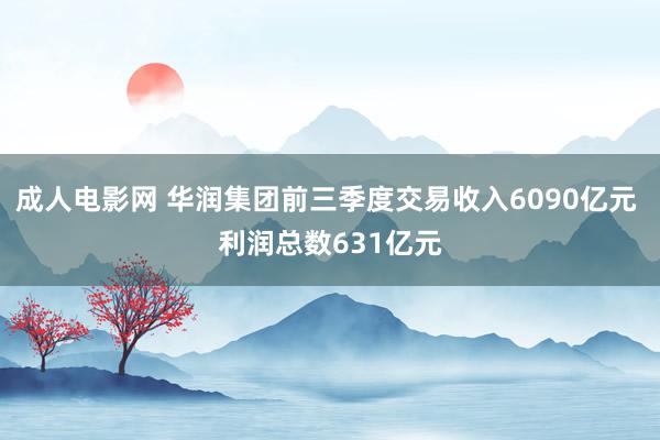 成人电影网 华润集团前三季度交易收入6090亿元 利润总数631亿元