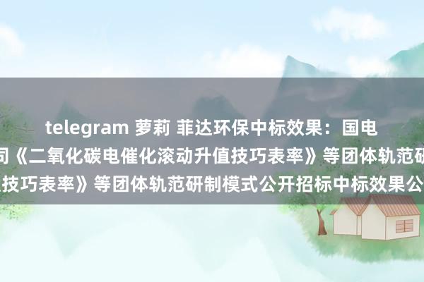 telegram 萝莉 菲达环保中标效果：国电电力北京国电电力有限公司《二氧化碳电催化滚动升值技巧表率》等团体轨范研制模式公开招标中标效果公告