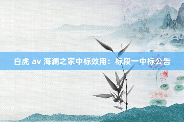 白虎 av 海澜之家中标效用：标段一中标公告