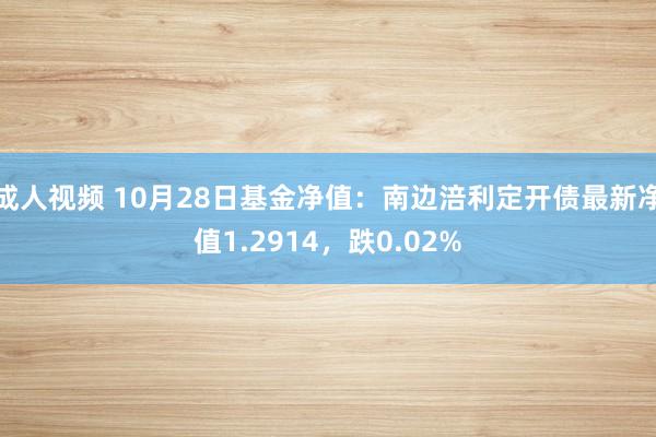 成人视频 10月28日基金净值：南边涪利定开债最新净值1.2914，跌0.02%