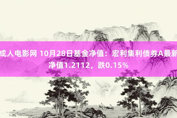 成人电影网 10月28日基金净值：宏利集利债券A最新净值1.2112，跌0.15%