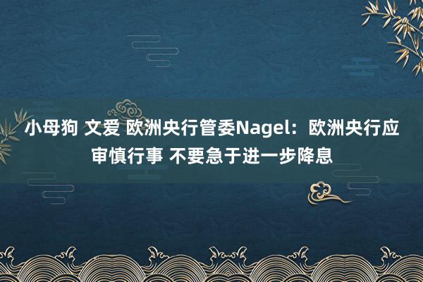 小母狗 文爱 欧洲央行管委Nagel：欧洲央行应审慎行事 不要急于进一步降息