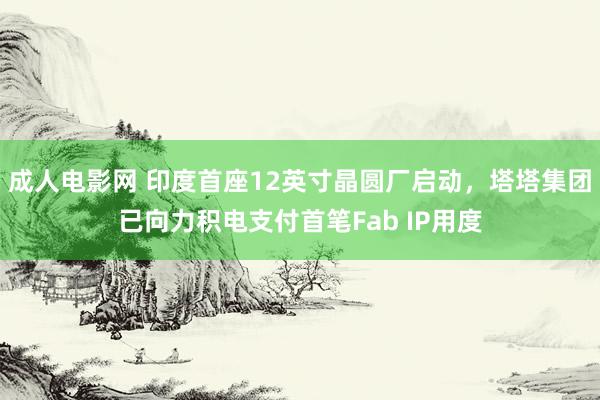 成人电影网 印度首座12英寸晶圆厂启动，塔塔集团已向力积电支付首笔Fab IP用度