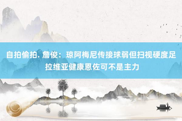 自拍偷拍. 詹俊：琼阿梅尼传接球弱但扫视硬度足 拉维亚健康恩佐可不是主力