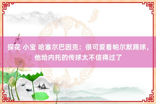 探花 小宝 哈塞尔巴因克：很可爱看帕尔默踢球，他给内托的传球太不信得过了