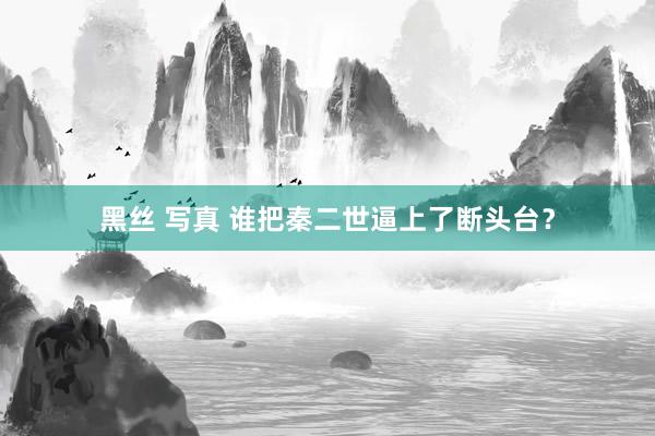 黑丝 写真 谁把秦二世逼上了断头台？