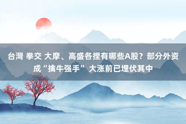 台灣 拳交 大摩、高盛各捏有哪些A股？部分外资成“擒牛强手” 大涨前已埋伏其中