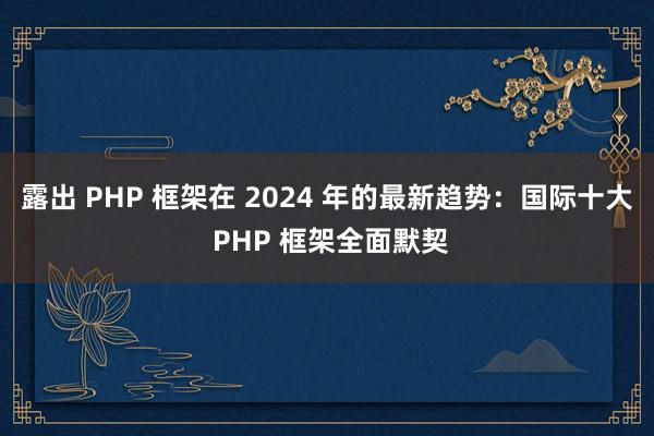 露出 PHP 框架在 2024 年的最新趋势：国际十大 PHP 框架全面默契