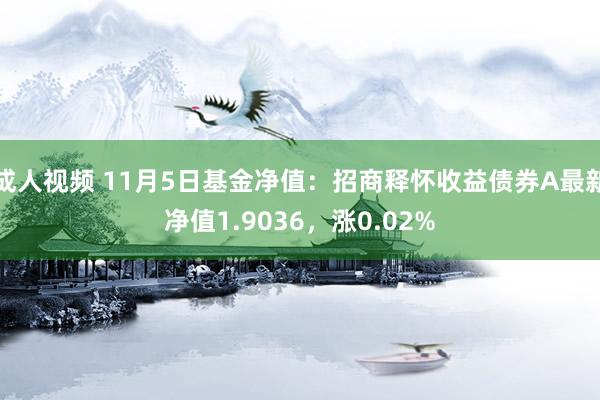 成人视频 11月5日基金净值：招商释怀收益债券A最新净值1.9036，涨0.02%