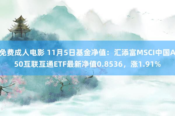 免费成人电影 11月5日基金净值：汇添富MSCI中国A50互联互通ETF最新净值0.8536，涨1.91%