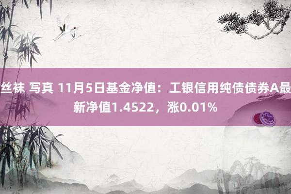 丝袜 写真 11月5日基金净值：工银信用纯债债券A最新净值1.4522，涨0.01%