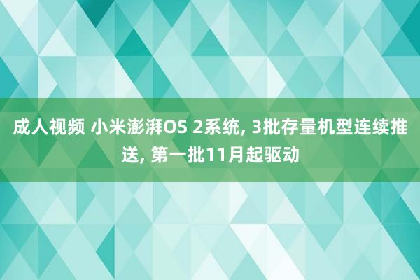 成人视频 小米澎湃OS 2系统， 3批存量机型连续推送， 第一批11月起驱动