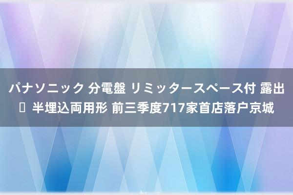 パナソニック 分電盤 リミッタースペース付 露出・半埋込両用形 前三季度717家首店落户京城