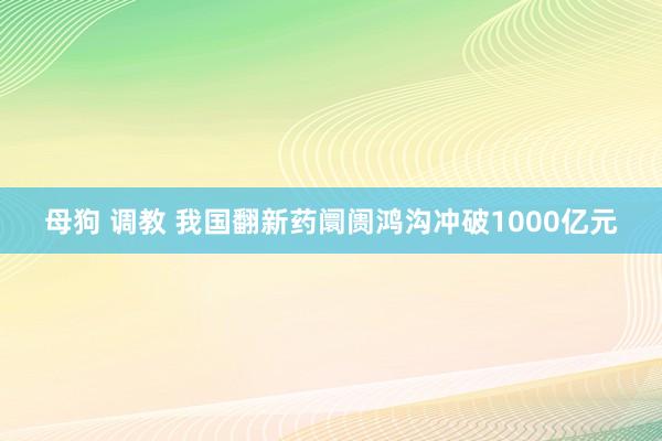 母狗 调教 我国翻新药阛阓鸿沟冲破1000亿元